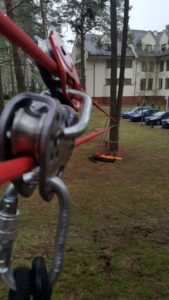 Blog 6 PHOTO 2018 12 19 12 10 28